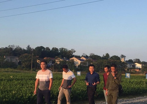 十月小陽春，栽苗好季節(附10月柑橘管理要點)