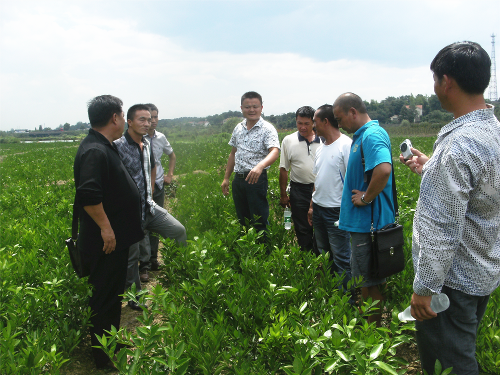 云南農大教授、玉溪市經作站站長一行前來公司考察交流