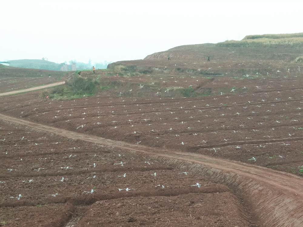 懷化市績(jī)效辦到市林業(yè)局督導(dǎo)