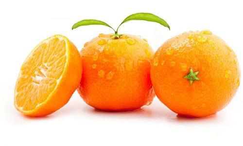 主要看氣質(zhì)：桔子賣了8萬(wàn)斤