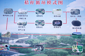 現(xiàn)代循環(huán)農(nóng)業(yè)產(chǎn)生巨大裂變效應(yīng)