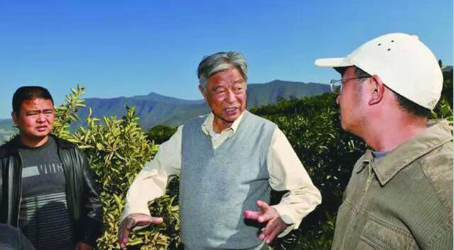 黃鐵鷹：褚橙對我震動最大，互聯網不能讓二流變一流