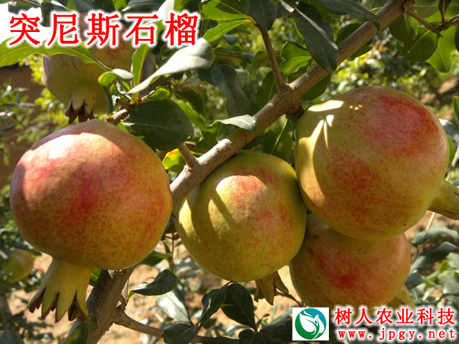 常德市萬路達物流股份有限公司,常德危險品運輸服務,普貨運輸服務,物流生活服務哪里好