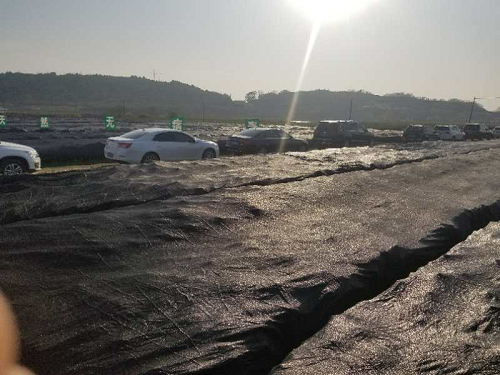 湖南樹人農林科技有限公司,湖南柑橘品種銷售,中國果樹網,常綠果樹類哪里好