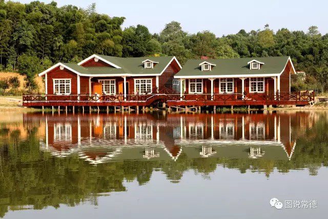 湖南樹人農(nóng)林科技有限公司,湖南柑橘品種銷售,中國果樹網(wǎng),常綠果樹類哪里好