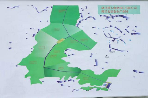 湖南樹人農林科技有限公司,湖南柑橘品種銷售,中國果樹網,常綠果樹類哪里好