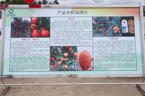 湖南樹人農林科技有限公司,湖南柑橘品種銷售,中國果樹網,常綠果樹類哪里好