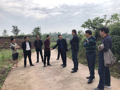 湖南樹人農林科技有限公司,湖南柑橘品種銷售,中國果樹網,常綠果樹類哪里好