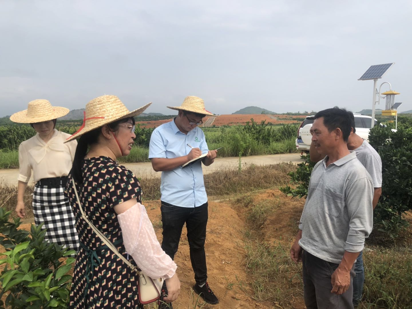 湖南樹人農(nóng)林科技有限公司,湖南柑橘品種銷售,中國果樹網(wǎng),常綠果樹類哪里好