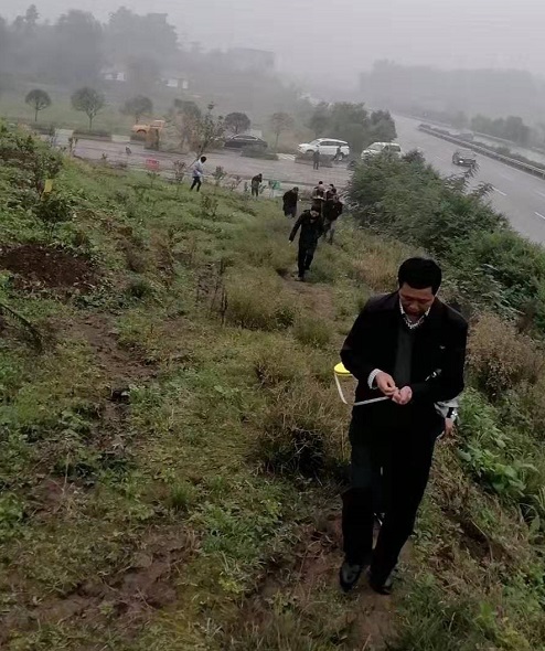 湖南樹人農林科技有限公司,湖南柑橘品種銷售,中國果樹網,常綠果樹類哪里好