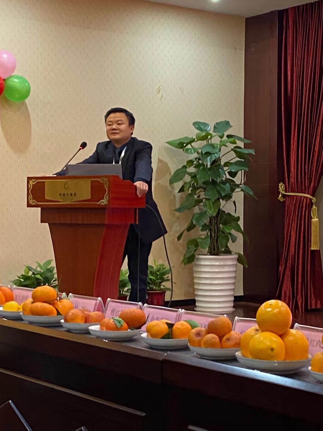 湖南樹人農(nóng)林科技有限公司,湖南柑橘品種銷售,中國果樹網(wǎng),常綠果樹類哪里好