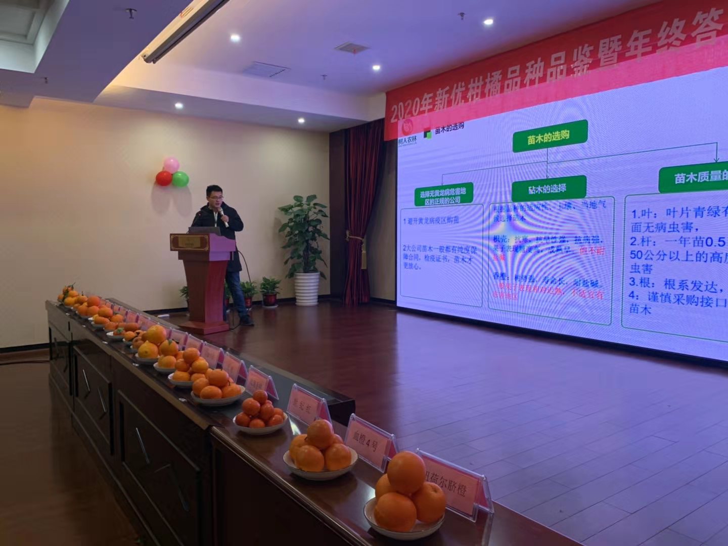 湖南樹人農(nóng)林科技有限公司,湖南柑橘品種銷售,中國果樹網(wǎng),常綠果樹類哪里好