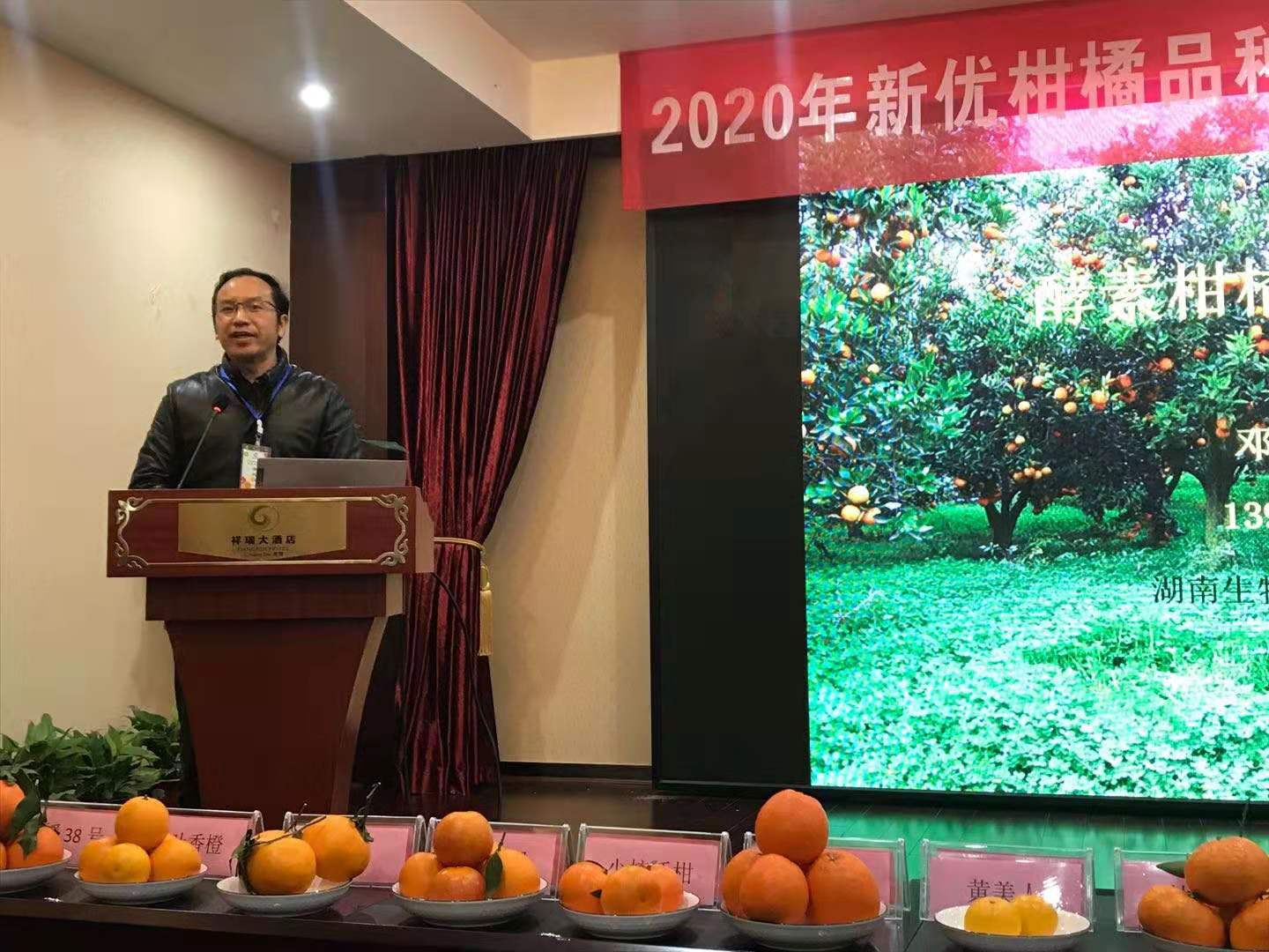 湖南樹人農(nóng)林科技有限公司,湖南柑橘品種銷售,中國果樹網(wǎng),常綠果樹類哪里好