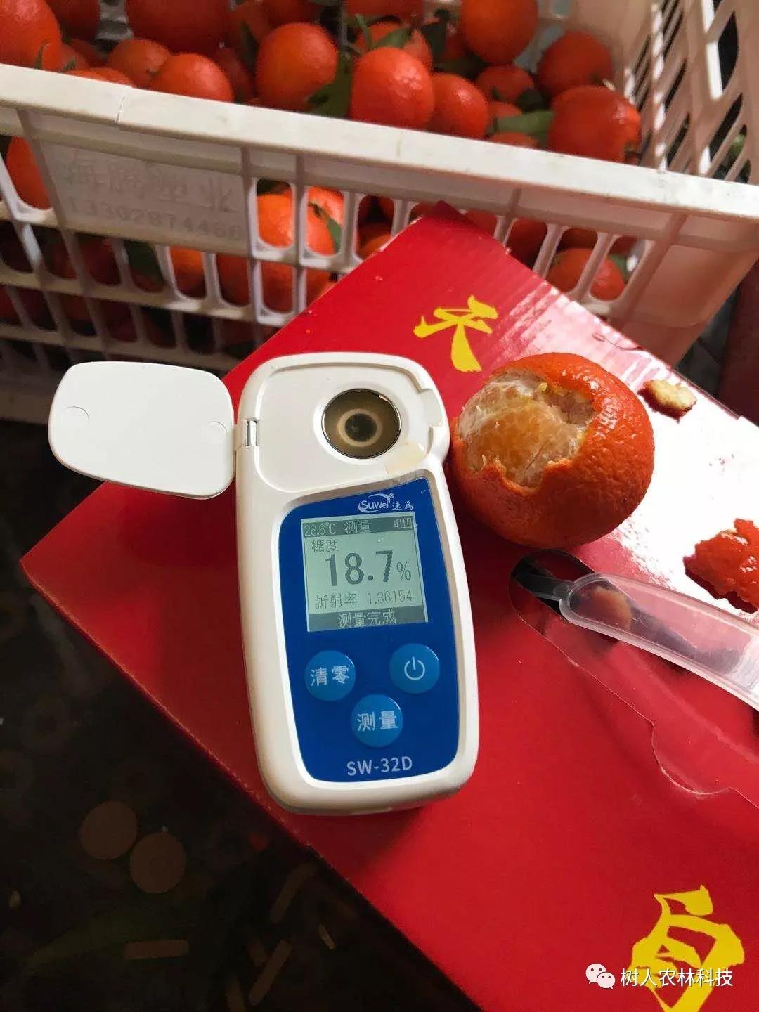 湖南樹人農林科技有限公司,湖南柑橘品種銷售,中國果樹網,常綠果樹類哪里好