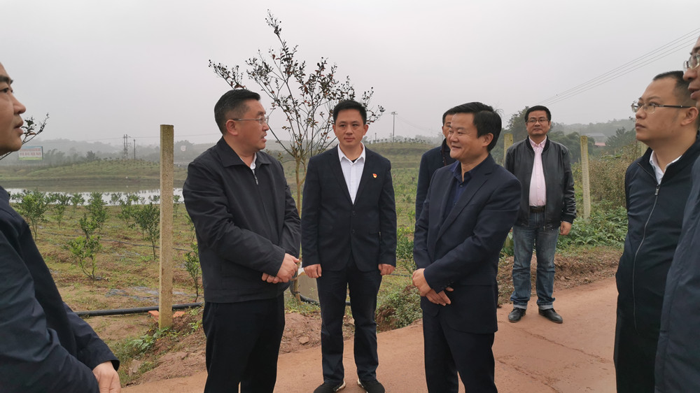 湖南樹人農(nóng)林科技有限公司,湖南柑橘品種銷售,中國果樹網(wǎng),常綠果樹類哪里好