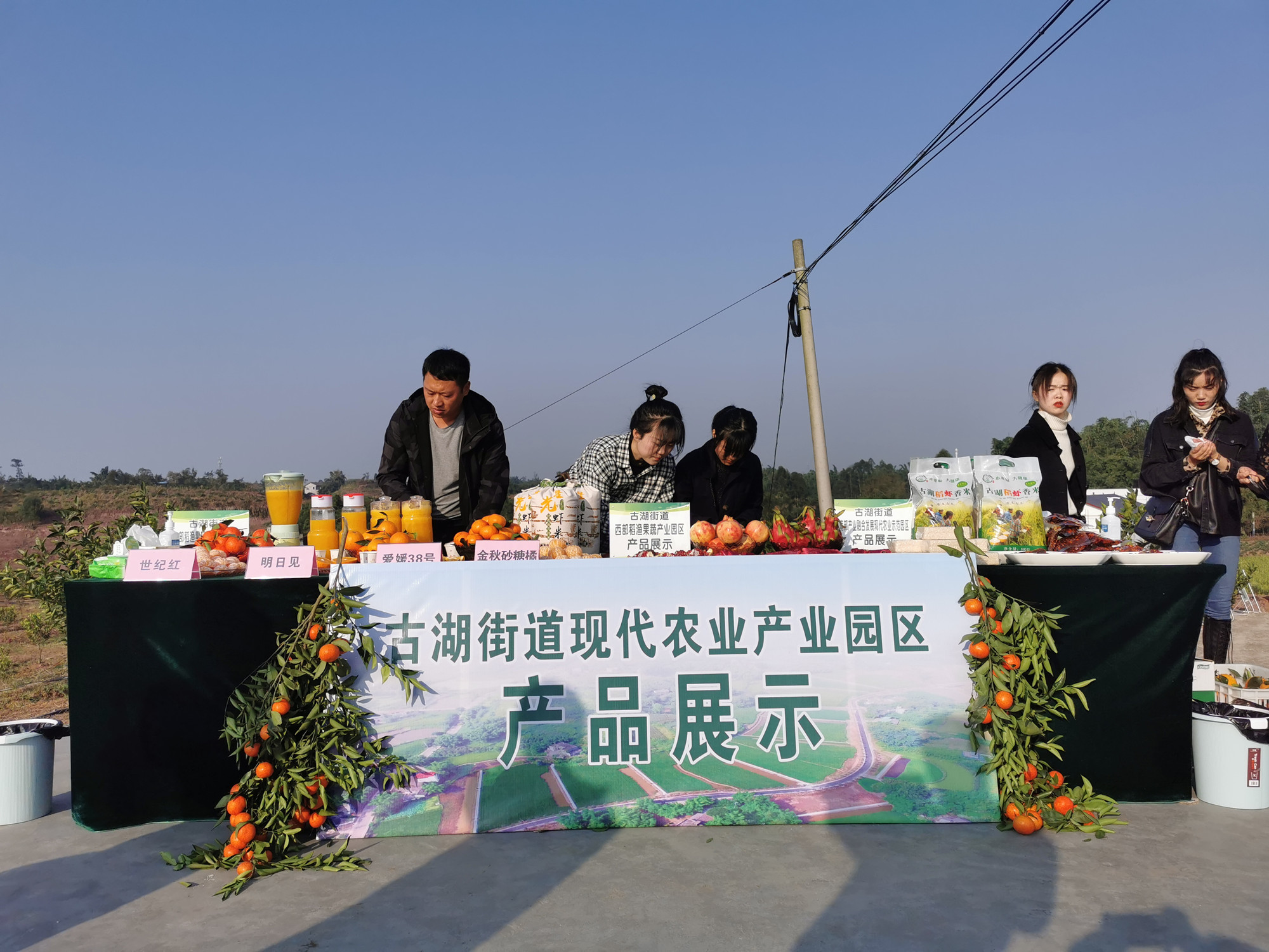 湖南樹人農林科技有限公司,湖南柑橘品種銷售,中國果樹網,常綠果樹類哪里好