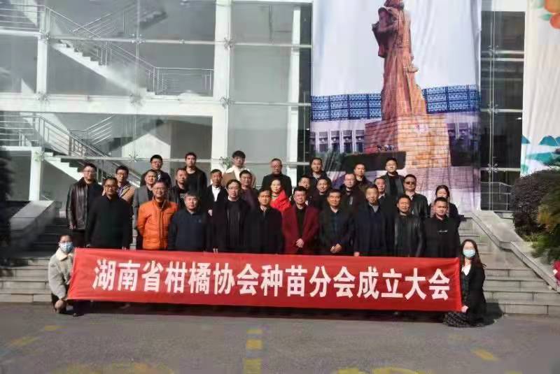 湖南樹人農林科技有限公司,湖南柑橘品種銷售,中國果樹網,常綠果樹類哪里好