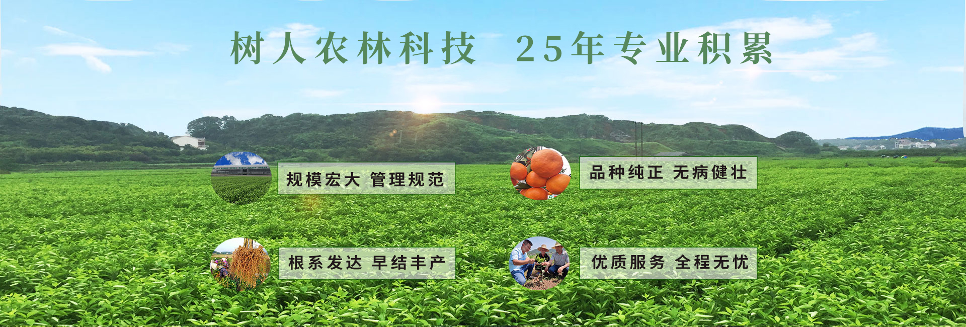 湖南樹人農林科技有限公司_樹人農林丨樹人農業丨農業科技丨現代農業丨柑橘丨柑橘苗木丨果樹苗木丨綠化苗木丨種子種苗丨田園綜合體丨鄉村旅游丨觀光休閑等