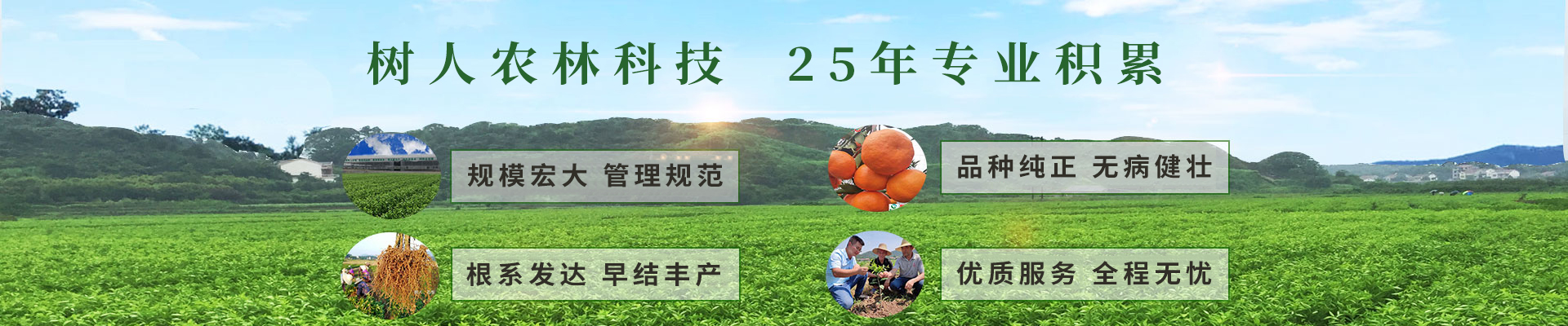 湖南樹人農(nóng)林科技有限公司_樹人農(nóng)林丨樹人農(nóng)業(yè)丨農(nóng)業(yè)科技丨現(xiàn)代農(nóng)業(yè)丨柑橘丨柑橘苗木丨果樹苗木丨綠化苗木丨種子種苗丨田園綜合體丨鄉(xiāng)村旅游丨觀光休閑等 湖南樹人農(nóng)林科技有限公司_樹人農(nóng)林丨樹人農(nóng)業(yè)丨農(nóng)業(yè)科技丨現(xiàn)代農(nóng)業(yè)丨柑橘丨柑橘苗木丨果樹苗木丨綠化苗木丨種子種苗丨田園綜合體丨鄉(xiāng)村旅游丨觀光休閑等