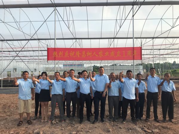 湖南樹人農林科技有限公司,湖南柑橘品種銷售,中國果樹網,常綠果樹類哪里好